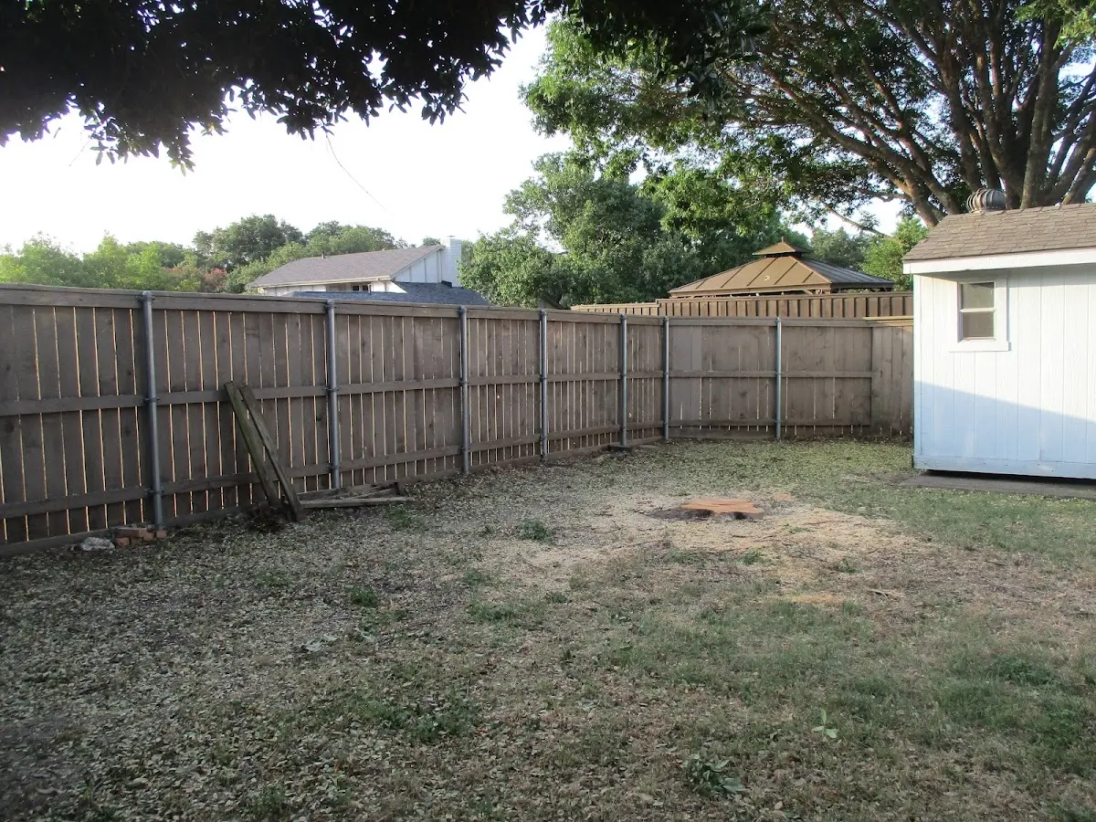 Cleared yard after professional tree removal in East Islip